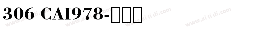 306 CAI978字体转换